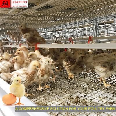 Manufacture Adapted to All Climatic Conditions Comprehensive Solution New Poultry Farm Chicken Cage