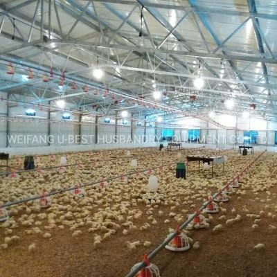 Broiler Poultry Farm House Chicken Closed System Design