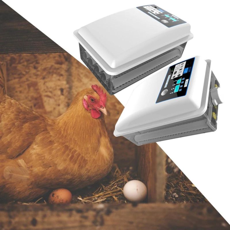 36 Pieces Factory Price Intelligent Automatic Chicken Eggs Incubator for Egg Hatching