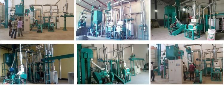 Popular 10tons/24h Corn Flour Mill Machine for Abuja Nigeria