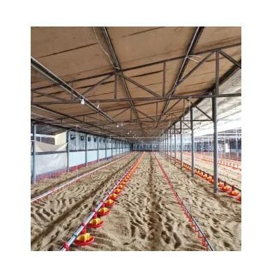 High Quality Modern Broiler Equipment Poultry Shed Design Chicken Farm