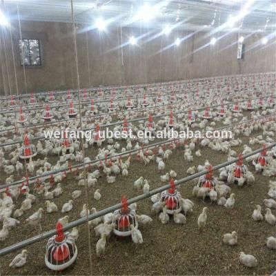 Automatic Meat Chicken Farming High Broiler Chicks Rate