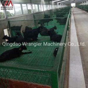 Goat Pig Plastic Slat Floor for Sale