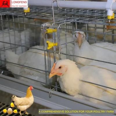 Longfeng High Density Stable Running Fogging and Doser Chicken Cage with Factory Price