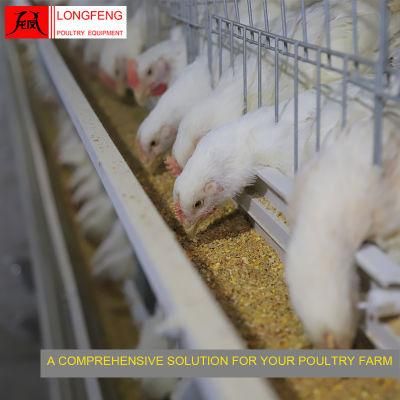 Mature Design Longfeng Standard Packing Poultry Feeding Equipment Broiler Chicken Cage
