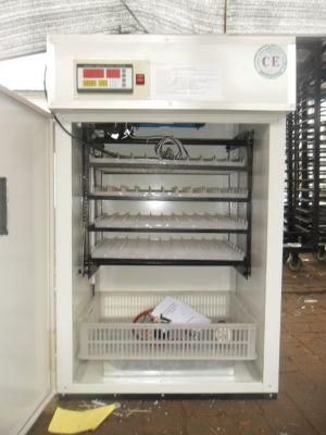 Automatic Turkey Egg Incubator Hatchery Machinery for Sale