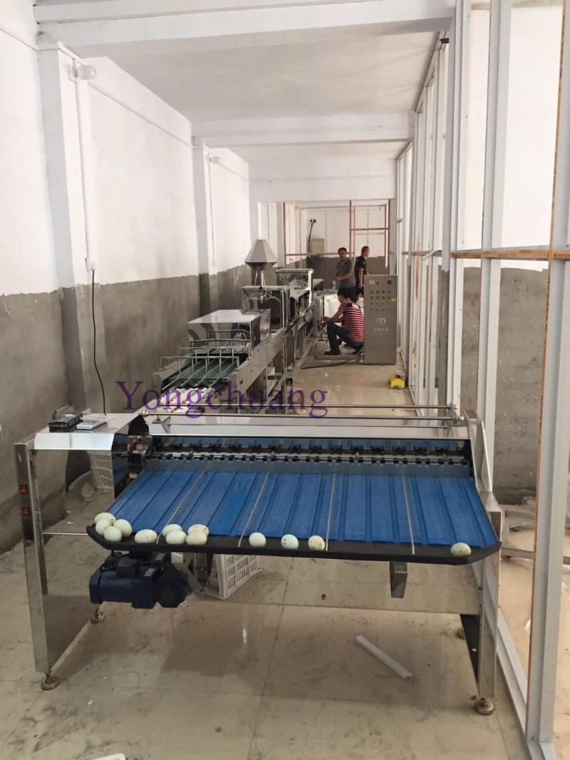 High Quality Egg Sorting Machine with Ce Certification