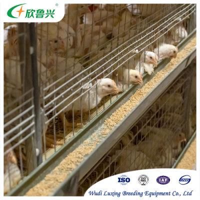 Modern Battery Cage Pullets Rearing Equipment for Chicken House Shed Poultry Farm