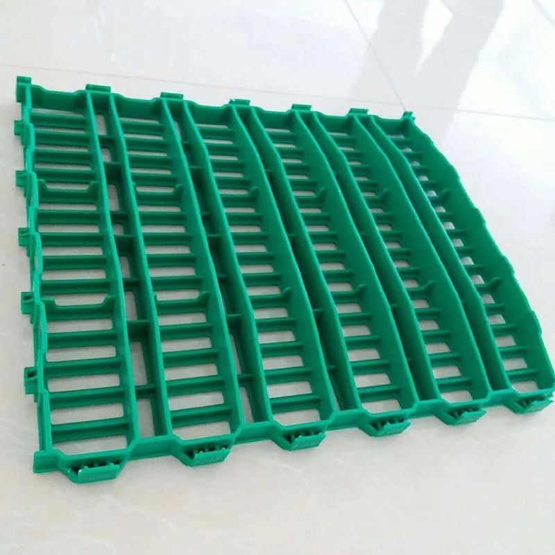 Plastic Slatted Floor Shed