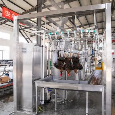 Qingdao Raniche Stainless Steel Table for Automatic Machine Poultry Slaughtering Equipment Chicken
