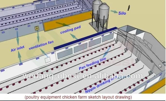 Automatic Modern Chicken House Farm Equipment System and Broiler/Breeder/Bird Pan Feeding System