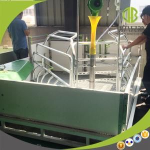 Slaughter Equipment Crate Hot Sale High Quality Pig Sow Farrowing