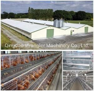 Layer Chicken Cage for Chicken Farm for Sri Lanka