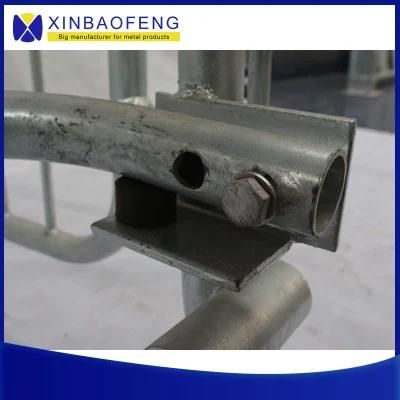 Supplier Livestock Equipment Pig Raising Equipment Galvanized Farm Equipment Pig Farrowing Box/Pen
