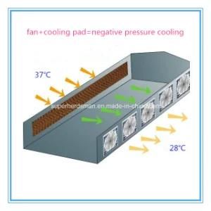 Full Set Computerized Poultry Equipment Air Cooler System