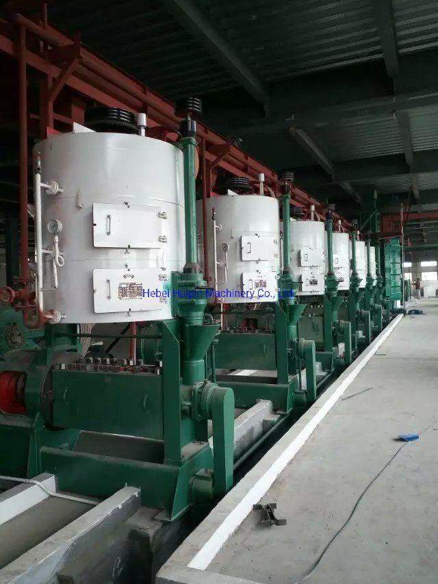 Castor Oil Extraction Machine Cotton Seed Oil Processing Oil Making Machine Solvent Oil Extraction