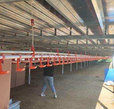 Layer Poultry Drinking /Feeding Equipment for Chicken/Broiler/Breeder