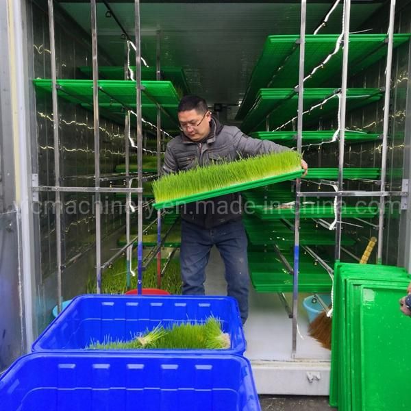 500kg/d Hydroponic Fodder Growing Machine With Air Conditioning