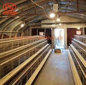 Factory 3 Tie 48 Capacity Chicken Layer Poultry Designs Commercial Brolier Chicken Cage