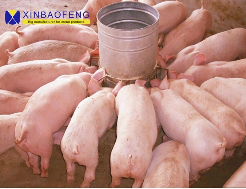 Swine Farm Double Sides Holes Pig Feeding Trough Fatten Finishing Feeders