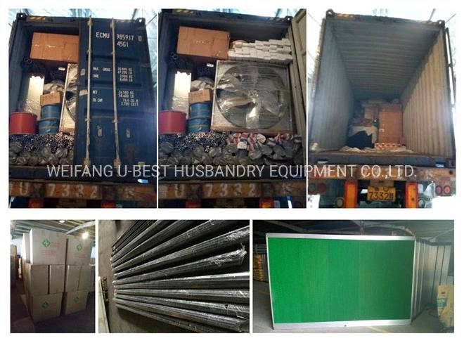 Automatic Chicken Poultry Farm Accessories for Modern Poultry Closed Farm House