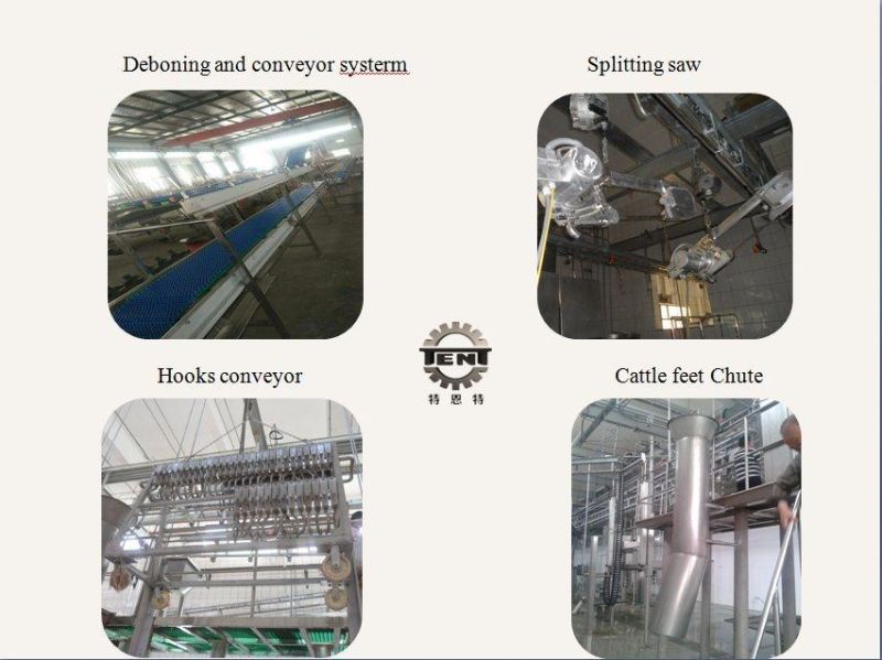Slaughterhouse Cattle Beef Slaughtering Equipment Meat Processing Machine for Sale