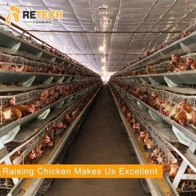 A type layer chicken poultry farms battery cage raising system