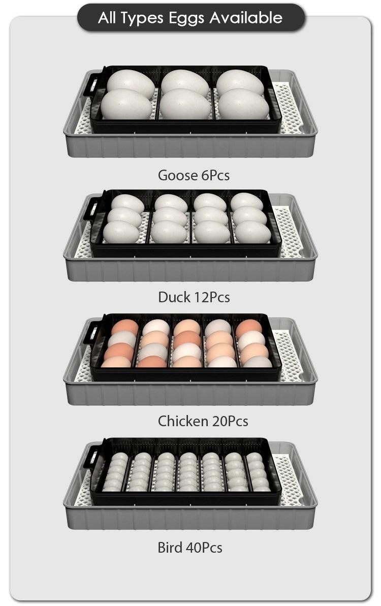 Hatching 20 Eggs Incubator D Business with Environmentally Friendly Heater Coil Good Price Sale in India