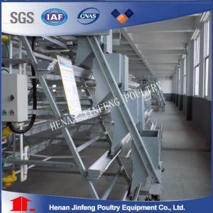 China Supplier for Chicken Raising Cage Poultry Equipment