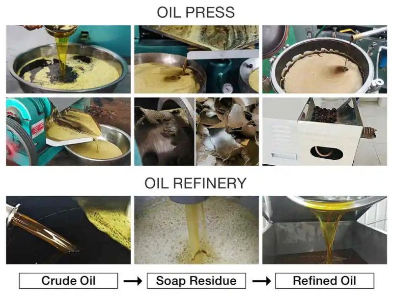 Bigger Gear Box 10tpd Seed Oil Extraction Machine Shea Butter Moringa Oil Making Machine