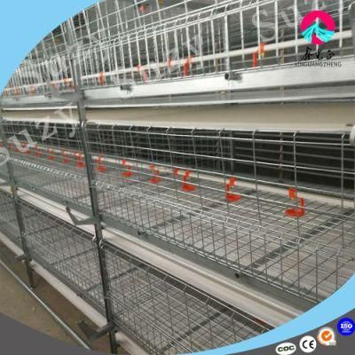 Good Price Automatic Poultry Farm Equipment Layer Chicken Battery Cage for Sale