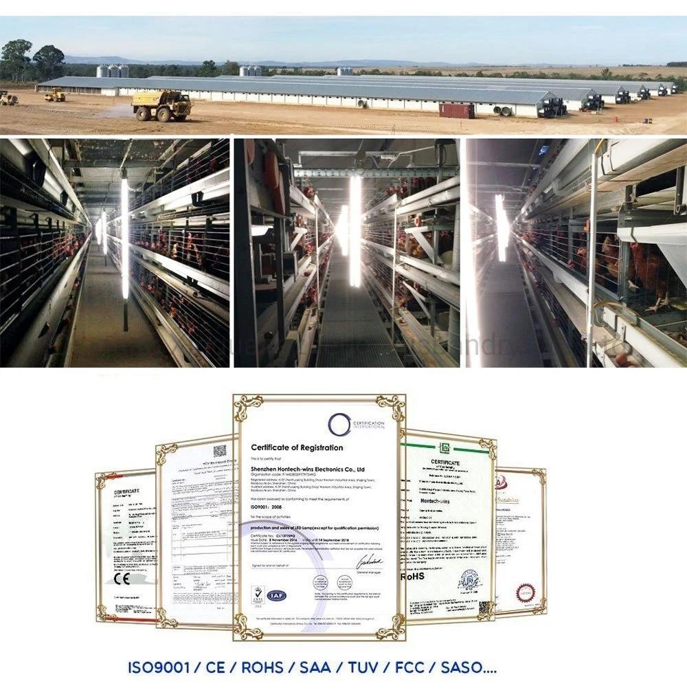 China Factory Supply Hot Sale Poultry House/ Layer Cage/Baby Chicken Cages