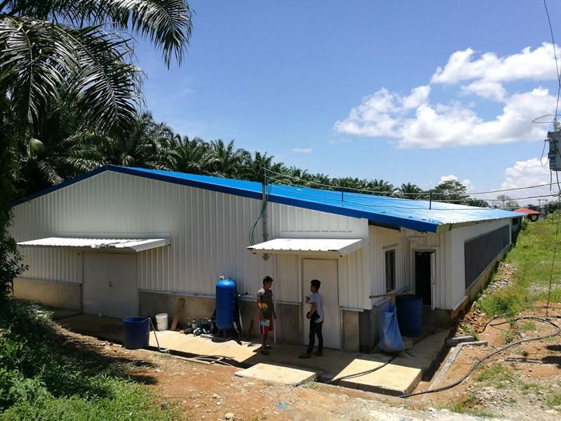 Prefab Poultry Farm House with Automatic Poultry Equipment