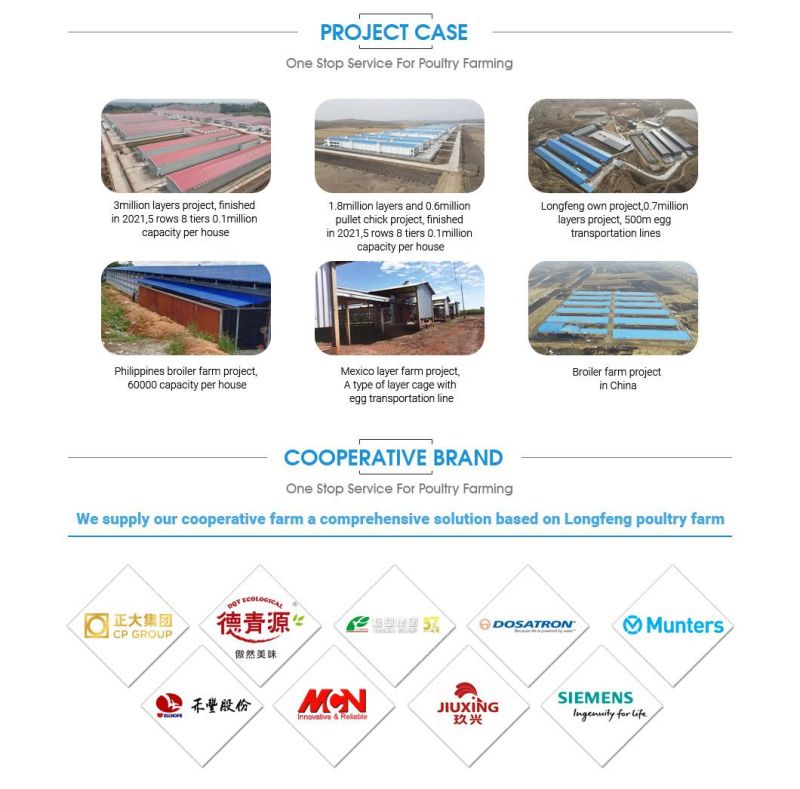 Manufacture China ISO9001: 2008 Approved Longfeng Poultry Farm Equipment Cages Battery Layer Chicken Cage