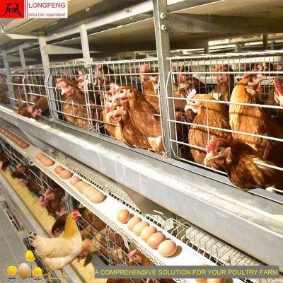 Local After-Sale Service in Asia Poultry Farm Cage Chicken Coop