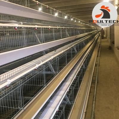 Automatic Battery Egg Hens Poultry Equipment Chicken Birds Cage