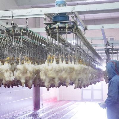3000bph High Quality Chicken Slaughter Line Slaughterhouse Poultry Abattoir for Sale