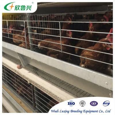 Modern H Type Poultry Farm Equipment Chicken Battery Farming Cages for Large Scale Farm