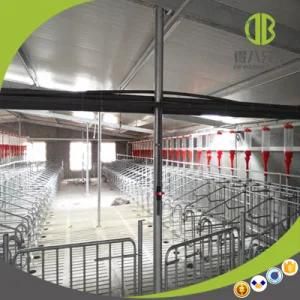 Durable Pig Chain Auto Feeding System Welcomed by Modern Pig Farm