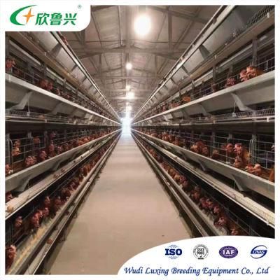Saudi Arabia Poultry Battery Layer Chicken Cage/Uganda Poultry Farm Automatic Chicken Layer Cage
