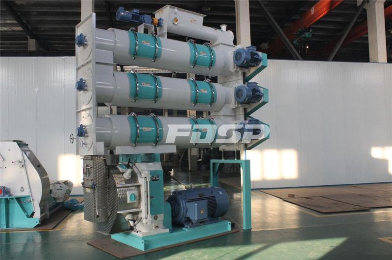 Easy Operation Special Aqua Feed Shrimp Pellet Mill with CE ISO