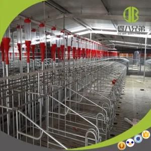Hot Sale Gestation Stall / Individual Stall Suitable for All Pig Farms