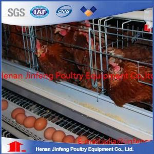 Farming Poultry Equipment Layers Chicken Cage for Sale