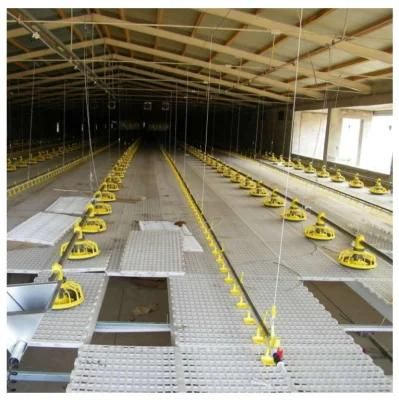 Factory Price Fully Automatic Modern Poultry Farm Design Chicken Broiler Pan Feeding Equipment