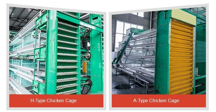 60, 000 Layers of Long-Term Use of Semi-Automatic Steel Chicken Coop