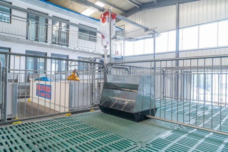 Pig Farm Piggery Cages Piglet Nursery Crate