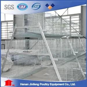 a Type Automatic Chicken Cage System for Poultry Farm