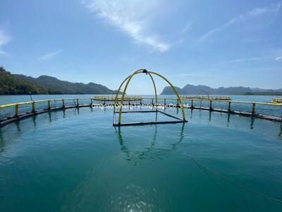 Offshore Floating Fish Cage, Fish Cage Farming for Tuna
