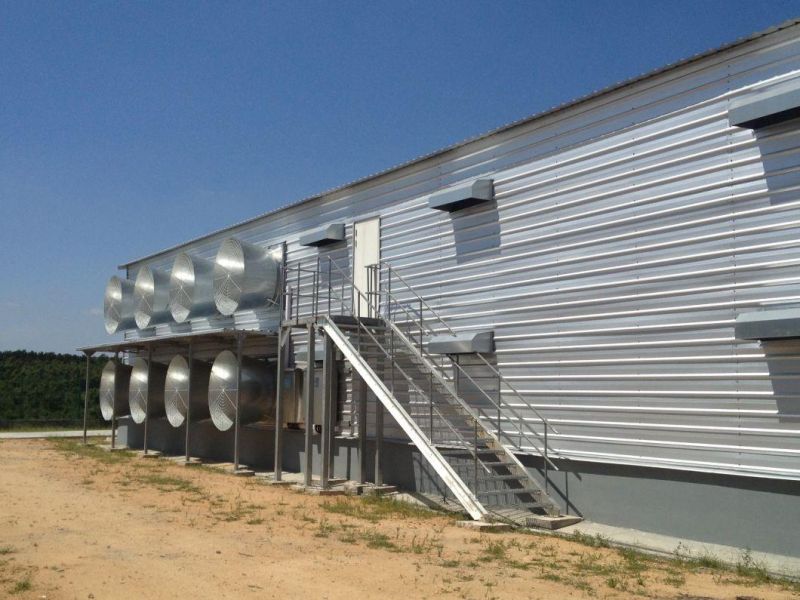 The Best Design for Double Floor Poulty House