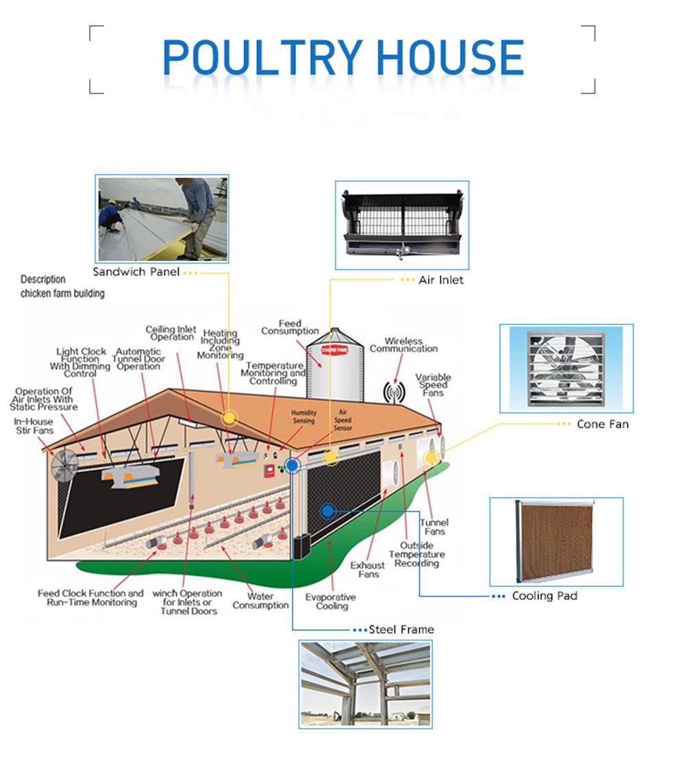 Design Modern Automatic Galvanized Chicken Cage House Poultry Farm Equipment for Sale